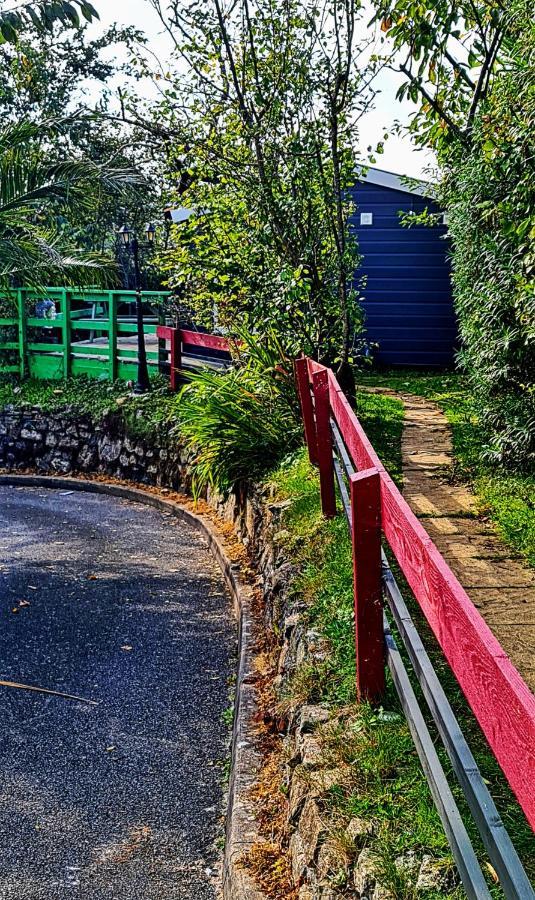 Palm Cottage Redruth Exteriér fotografie